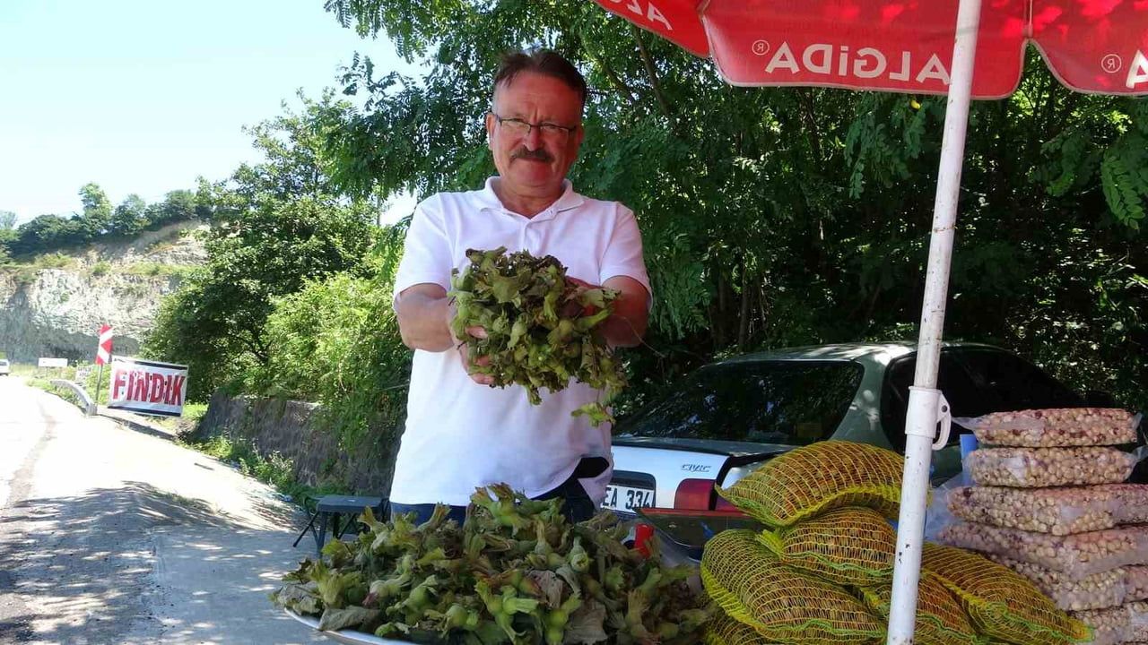 Karadeniz sahilinde dalından taze fındık kilogramı 200 TL'ye tezgâhlarda
