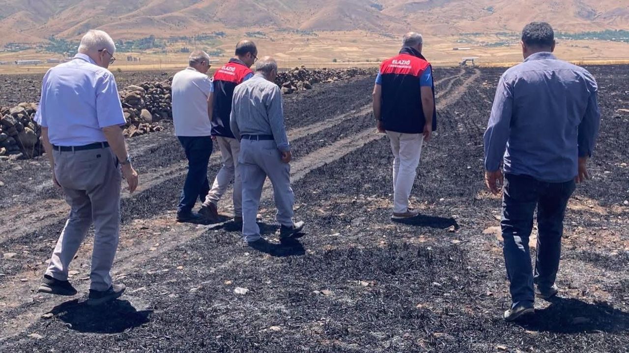 Karakoçan'da 70 dönümlük ekili alanda hasar tespiti