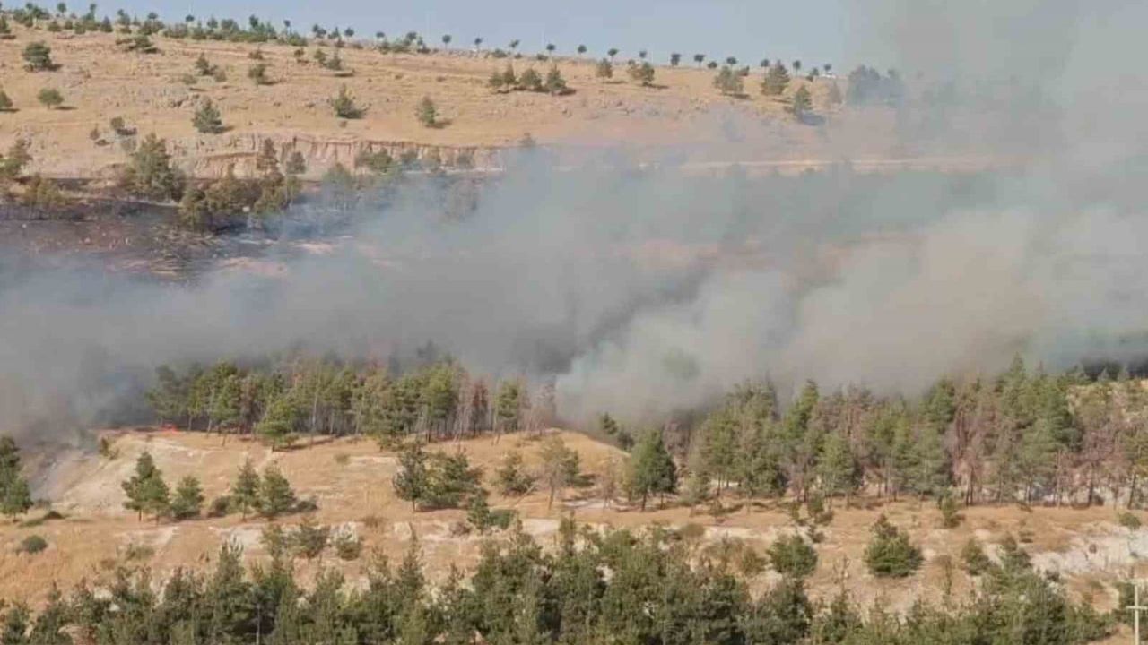 Karaköprü'de ormanlık alanı tehdit eden yangın kısa sürede kontrol altına alındı