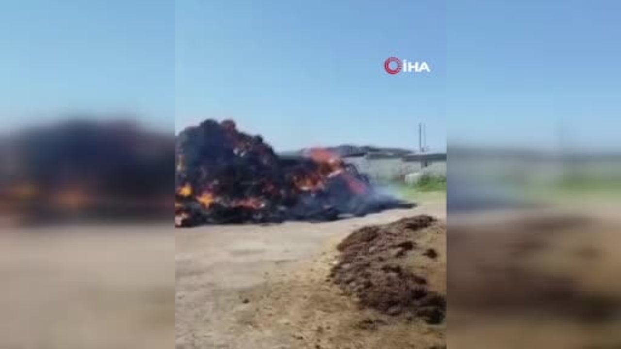 Karakoyunlu Bulakbaşı'nda ot balyaları küle döndü