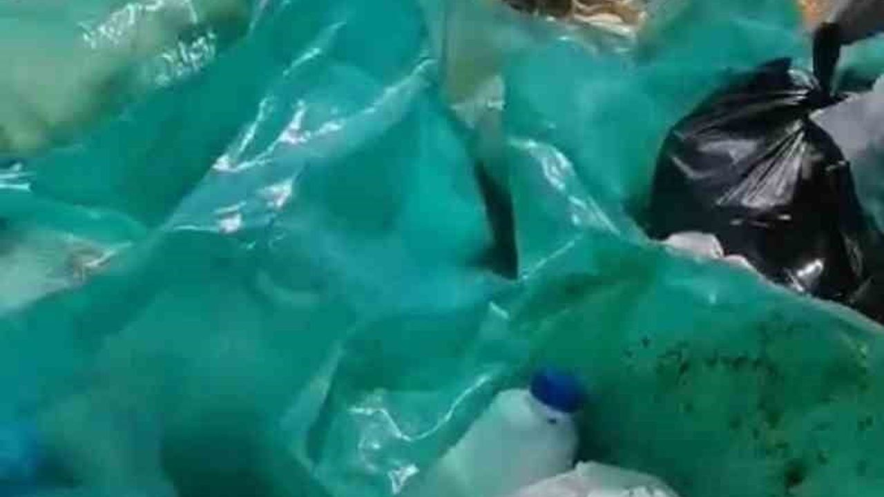 Karamanlı Gölü'nde yol kenarındaki çöpleri toplayan amatör balıkçı araç dolusu atık topladı