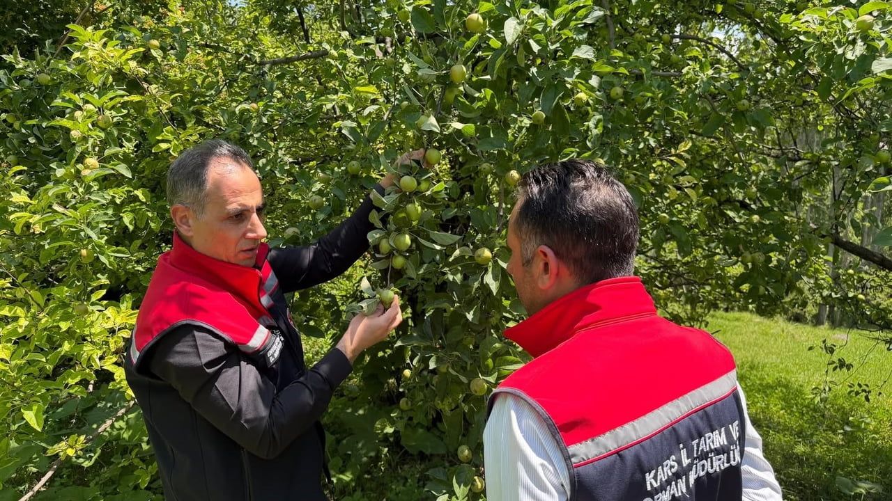 Kars’ta meyveciliğe güç katacak ziyaret: Enver Aydın'dan Sarıkamış'ta verimli üretim için 5 altın tavsiye