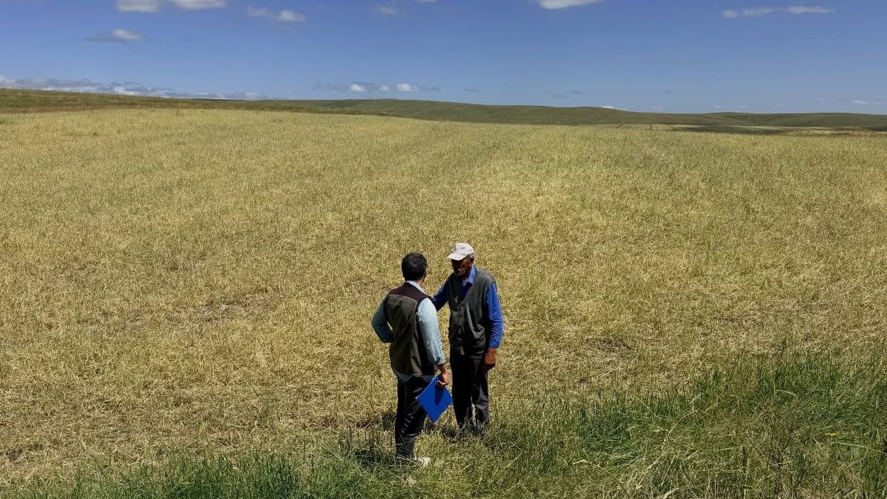 Kars'ta tarlalarda kesintisiz hasar tespiti: üreticilerin mağduriyeti sahada kayıt altına alınıyor