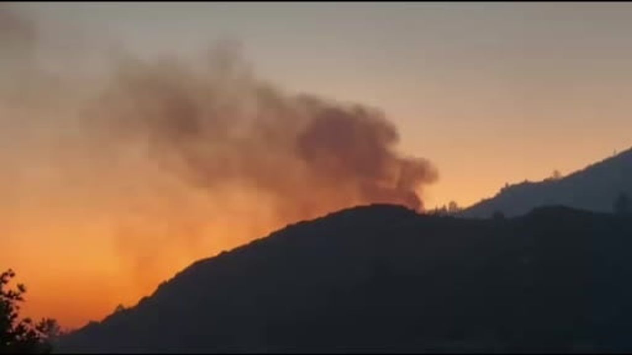 Kaş'ta Üzümlü Mahallesi'nde orman yangınına hava ve kara müdahalesi devam ediyor