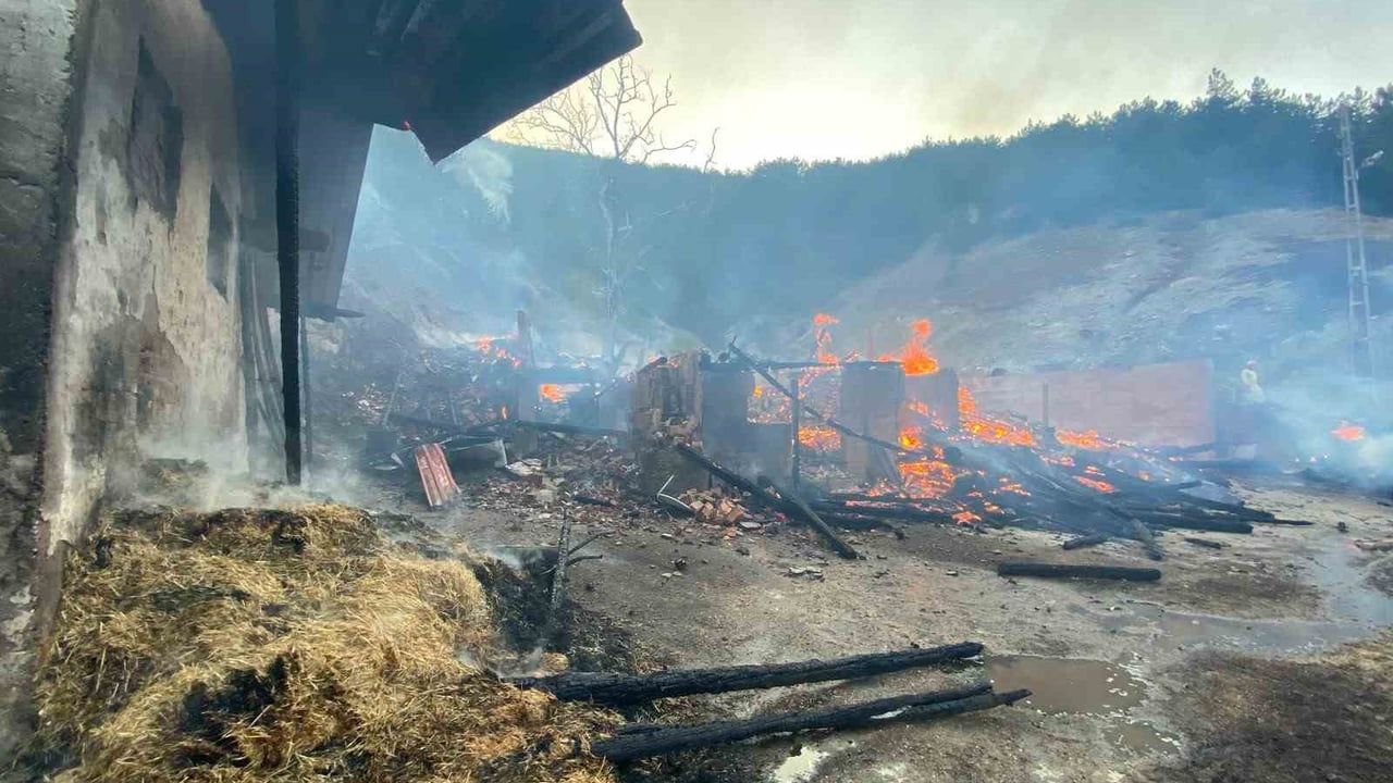 Kastamonu'da ahşap ev yangını ormana sıçradı