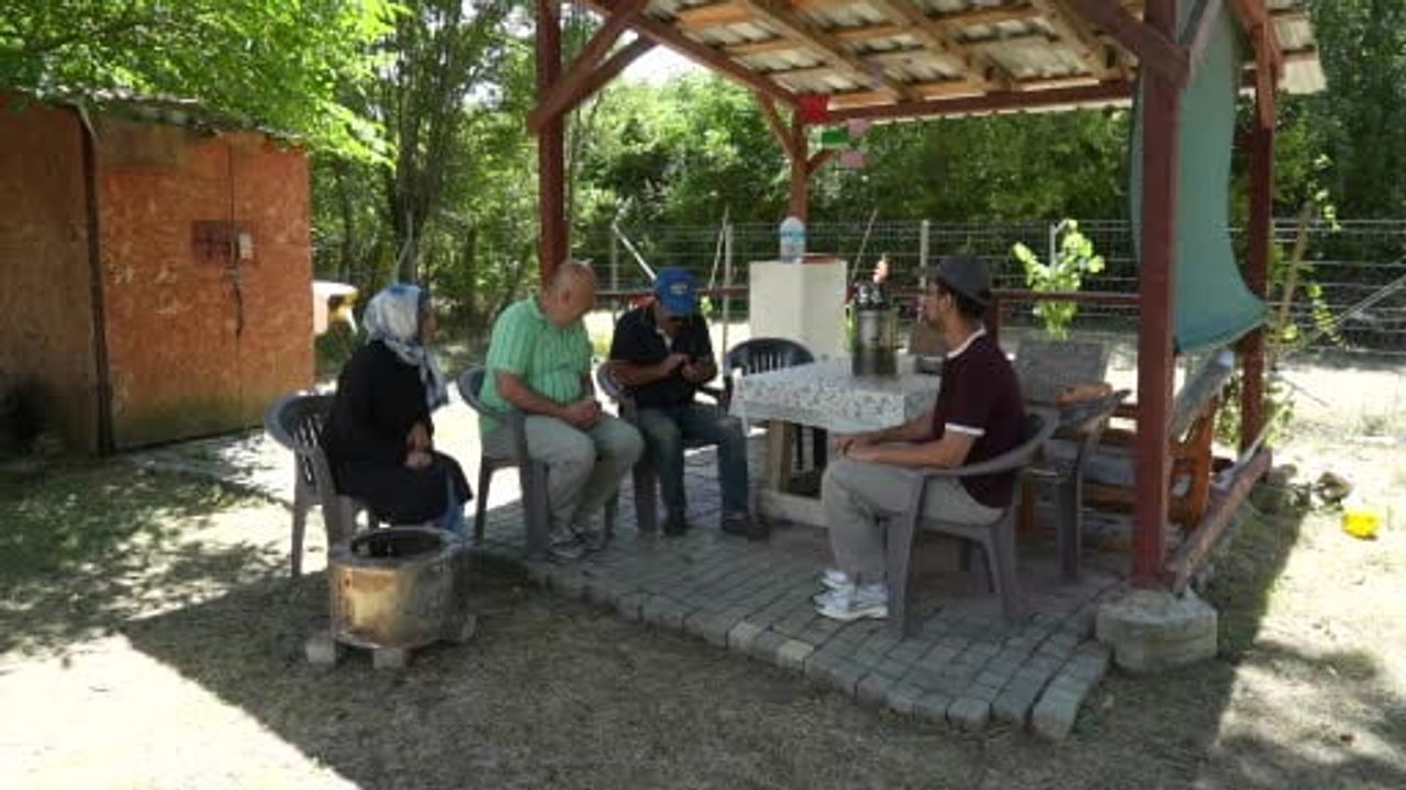 Kastamonu'da gece bahçeye inen bozayı aileyi konteynere hapsetti