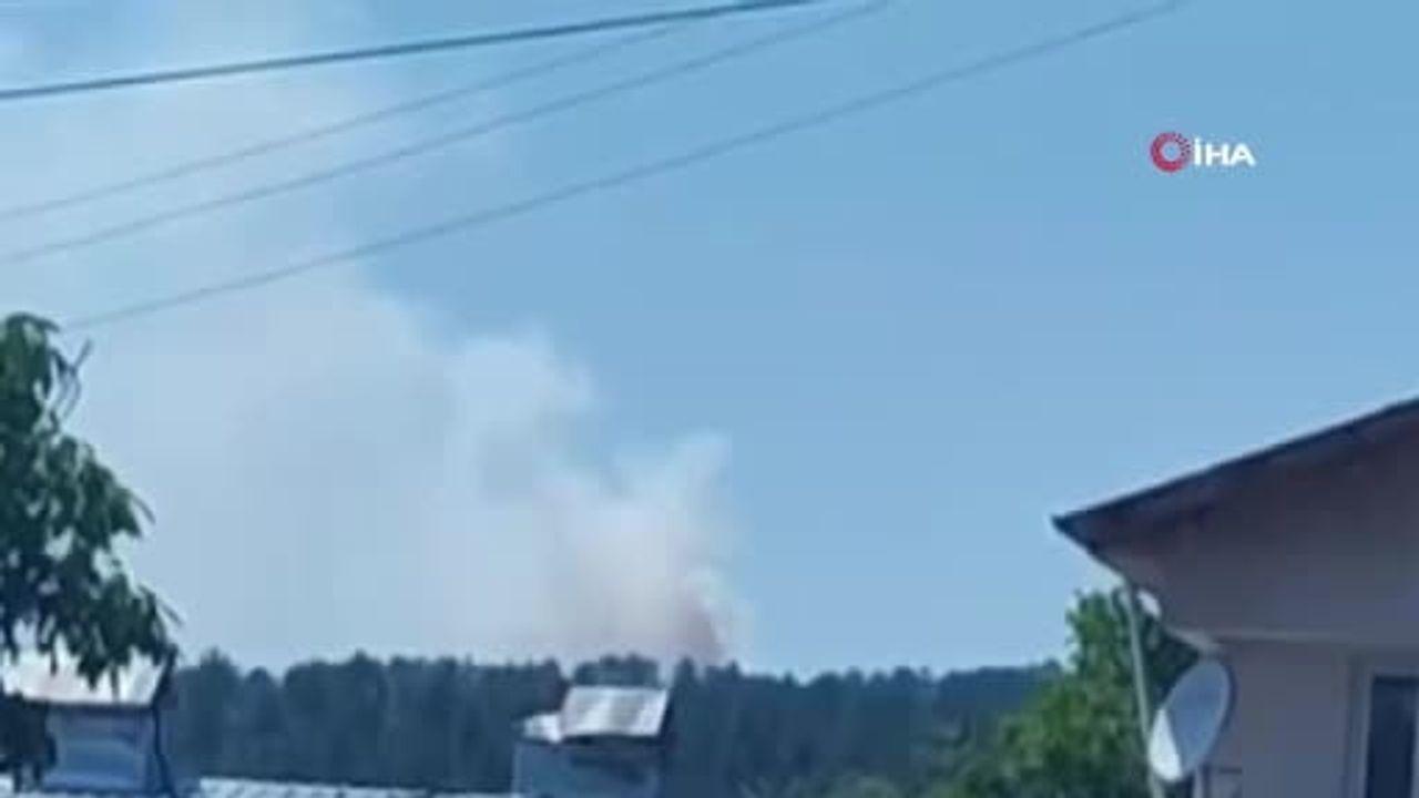 Kastamonu’da orman yangını: alevlere havadan ve karadan müdahale edildi