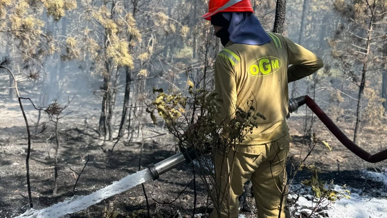 Kastamonu'da orman yangını havadan ve karadan müdahaleyle söndürüldü