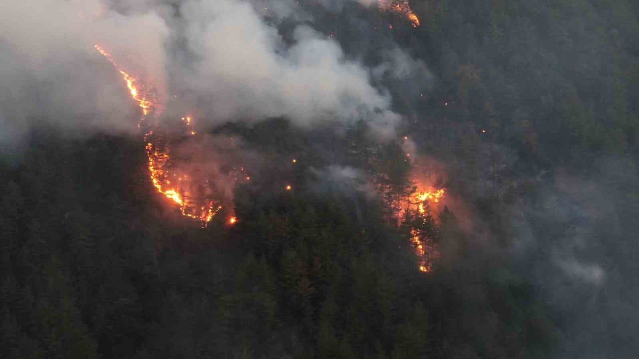 Kastamonu'da orman yangını kontrol altına alındı
