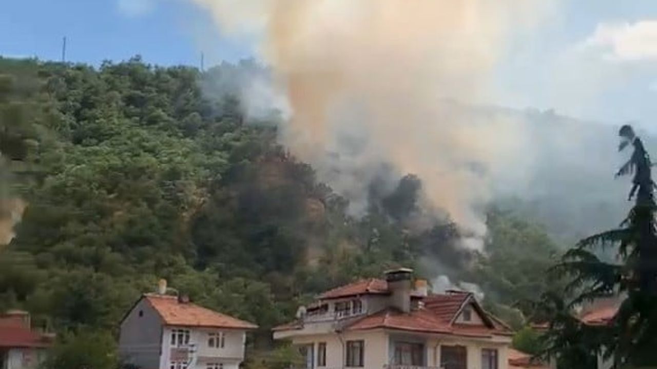 Kastamonu’da Tosya ilçesinde orman yangını yaklaşık 40 dönümü etkiledi
