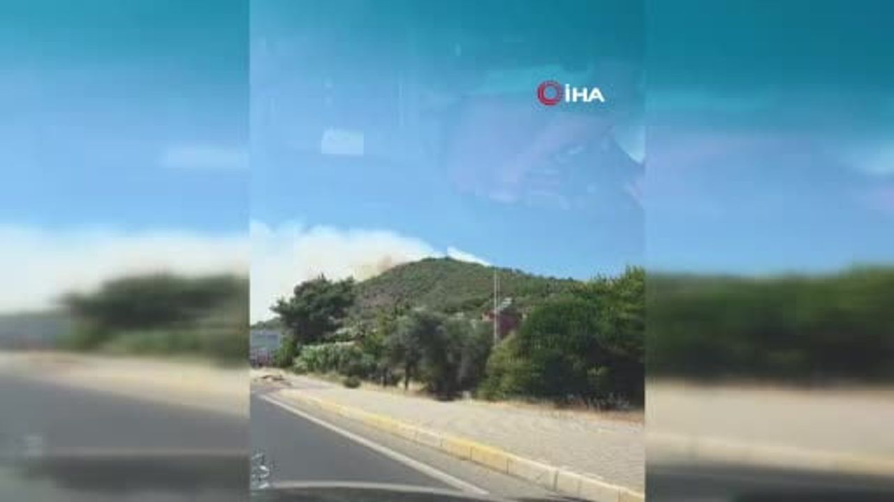 Kazdağı eteklerinde orman alevleri: Altınoluk'ta müdahale sürüyor