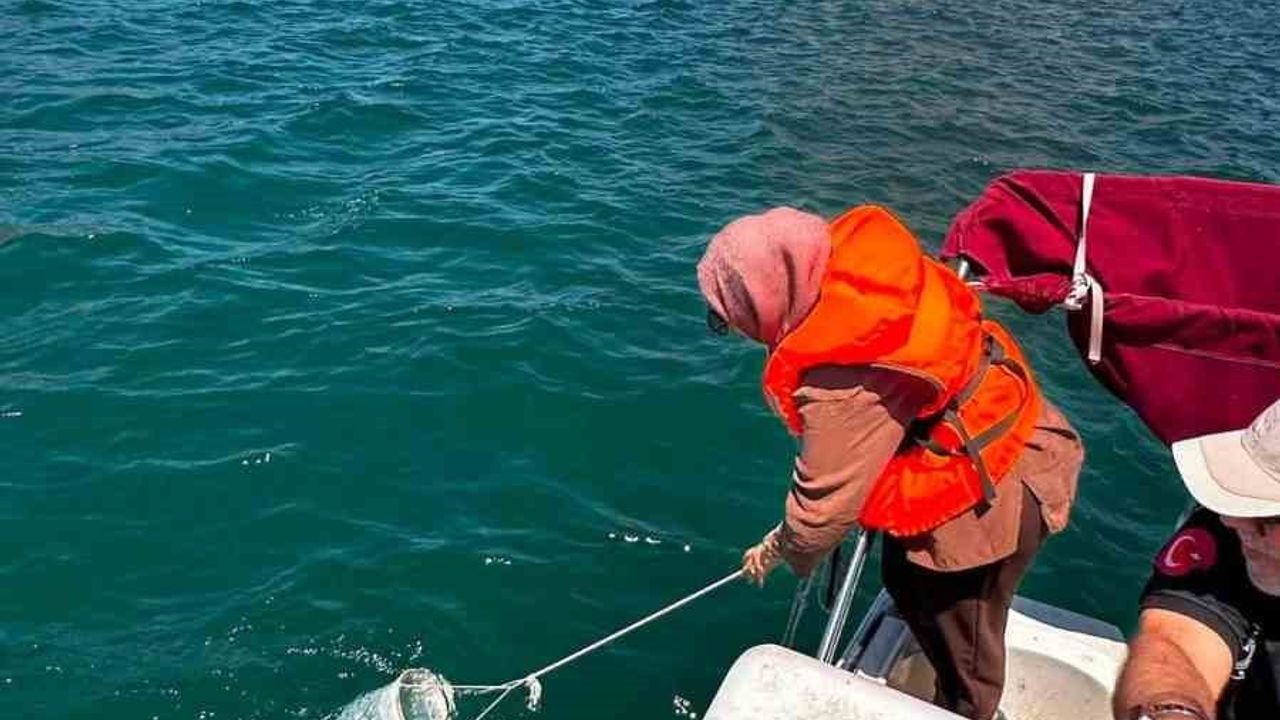 Keban Baraj Gölü'nde su kalitesi aylık olarak derinliğe bağlı izlenecek