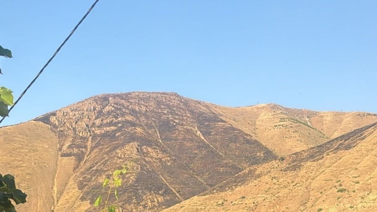 Keban'da rüzgarın etkisiyle büyüyen dağ yangını 15 saatte kontrol altına alındı