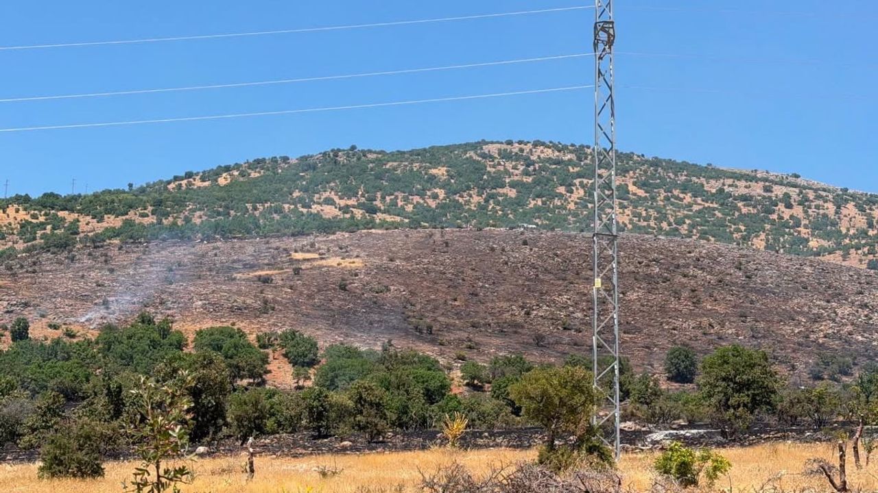 Kemaliye'de arazi yangını kontrol altına alındı