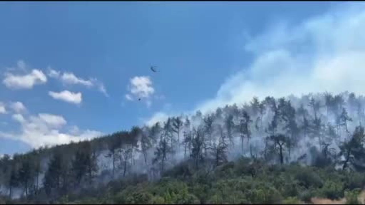 Kepsut'ta ormana sıçrayan yangınla mücadele sürüyor