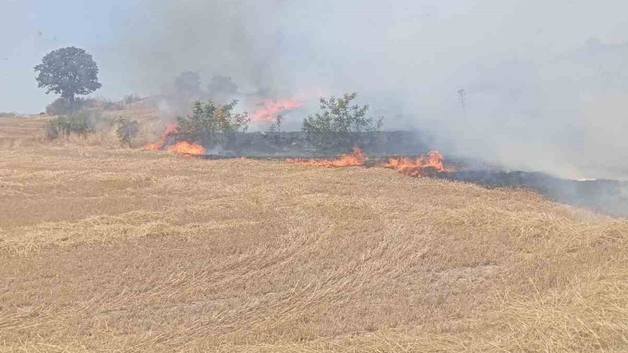 Keşan Erikli'de rüzgarla büyüyen anız yangını 100 dekar alanda hasar bıraktı