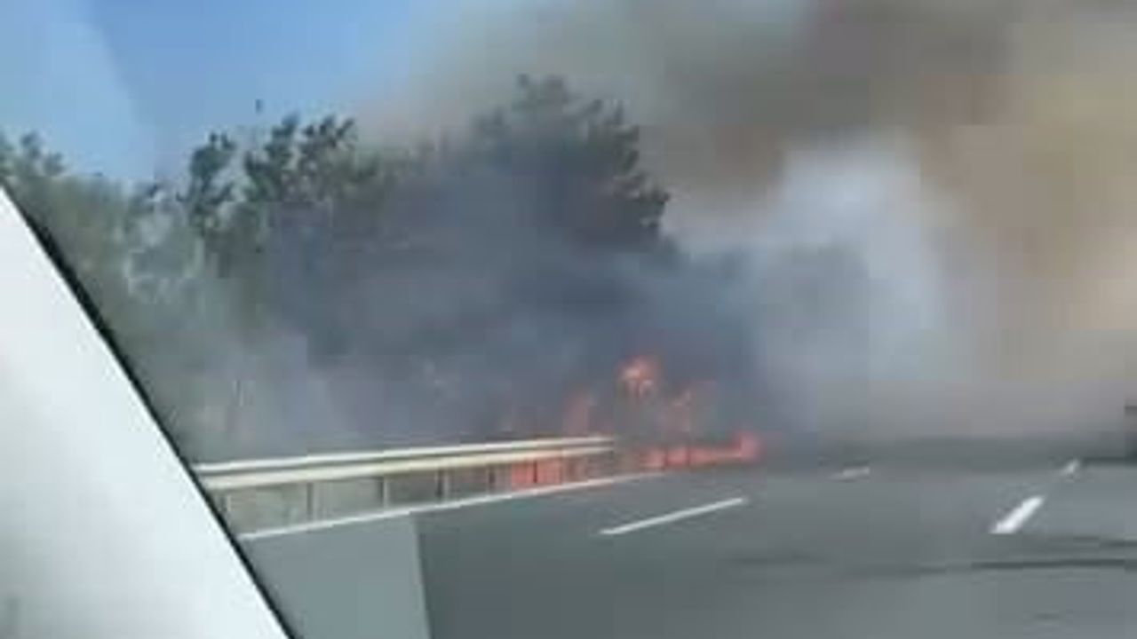 Kestel'de orman yangını: havadan ve karadan müdahale sürüyor