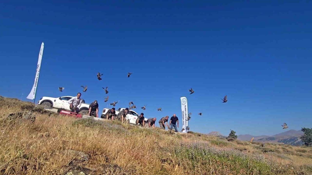 Kınalı keklik salımıyla keneyle biyolojik mücadele güçlendi