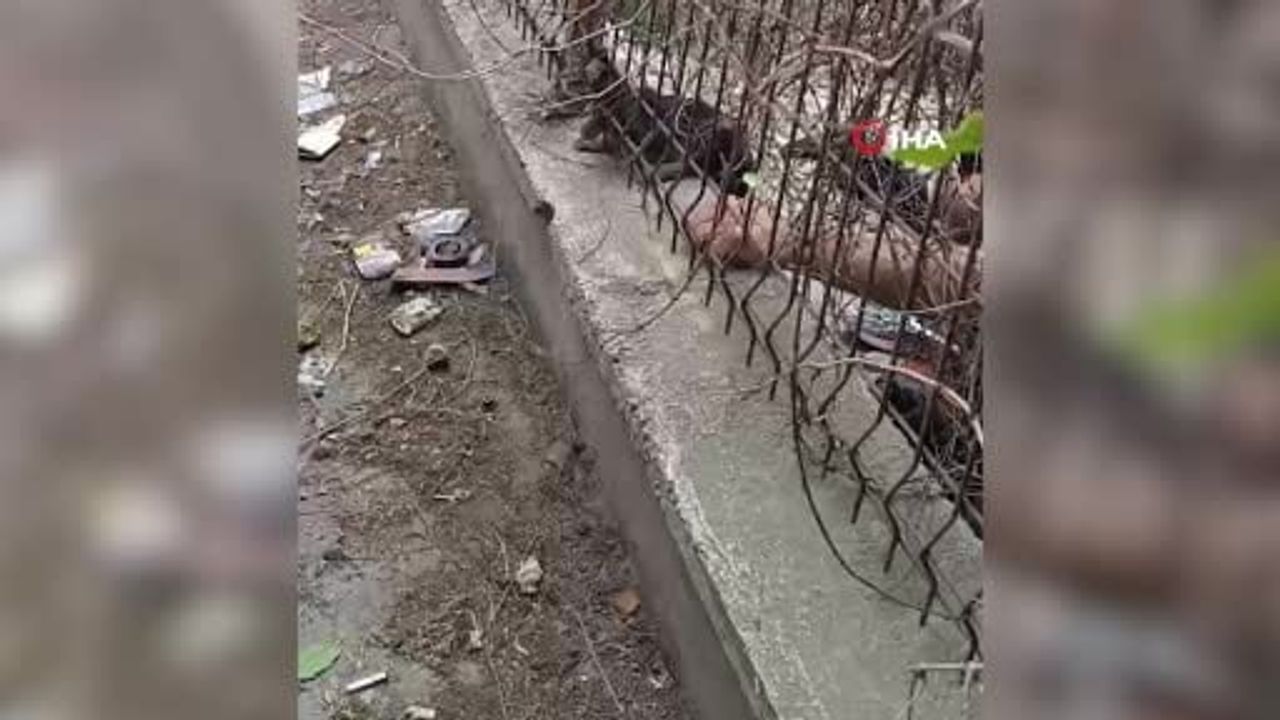 Kırıkkale itfaiyesi demir korkuluklara sıkışan yavru kediyi kurtardı