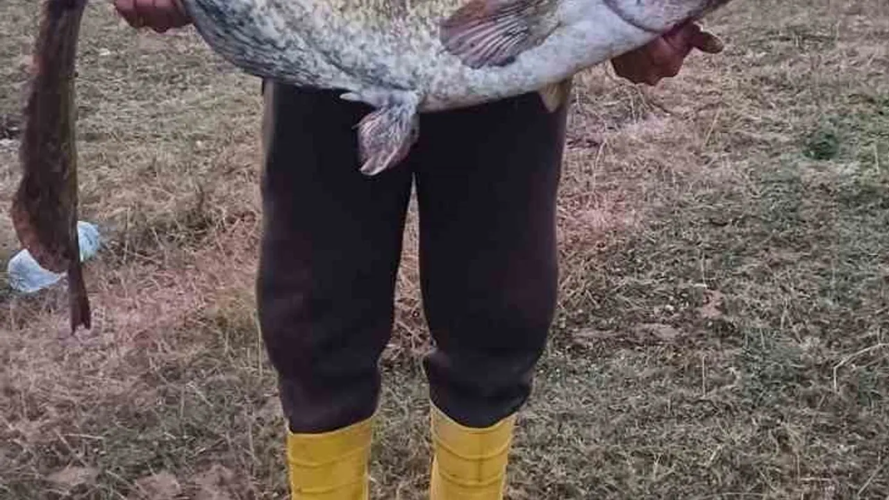 Kırklareli'nde 35 kilogramlık yayın balığı yakalandı