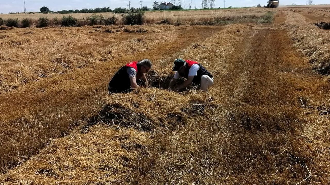 Kırklareli’nde hasat sezonunda biçerdöver denetimleri sürüyor