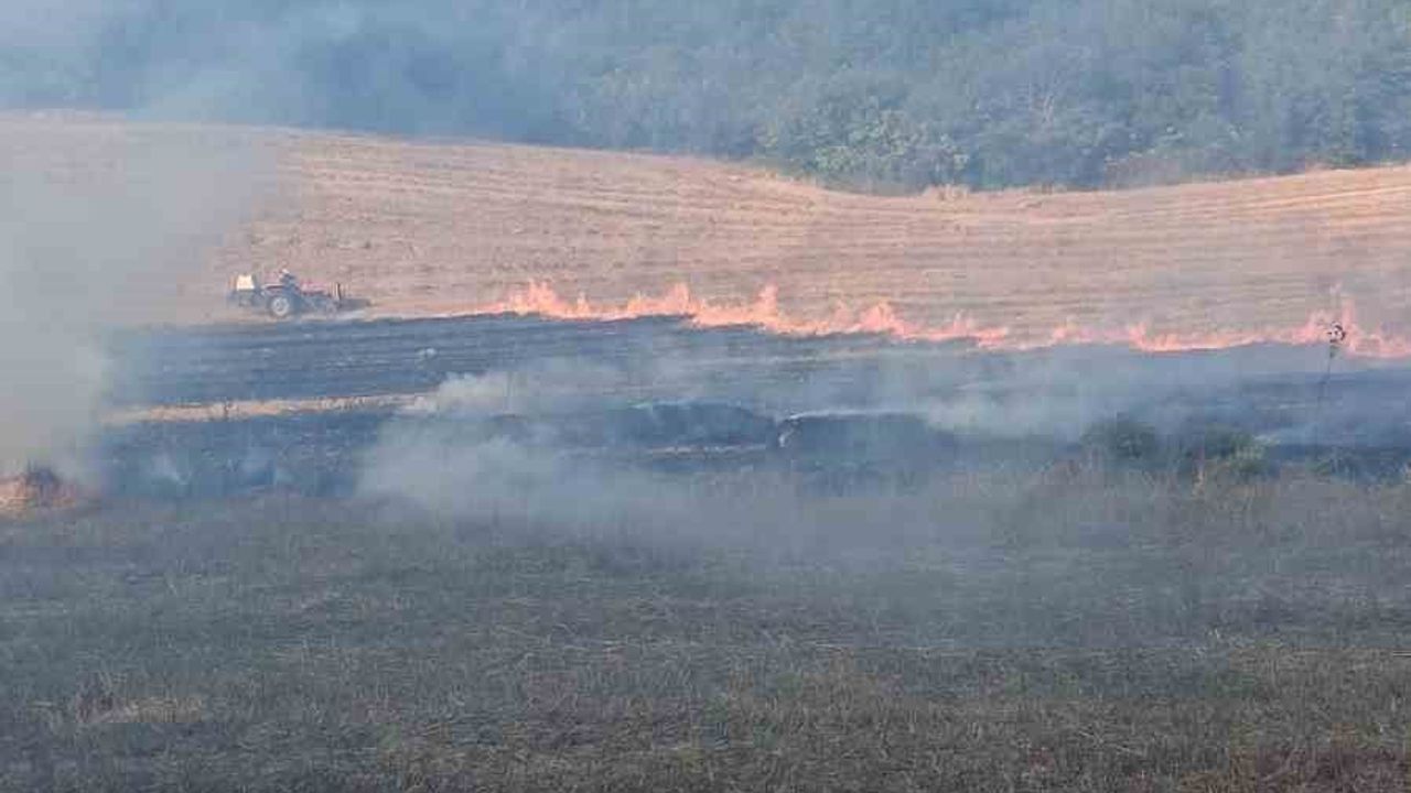 Kırsal alanda alevler büyümeden durduruldu: Mudanya'da kontrol sağlandı