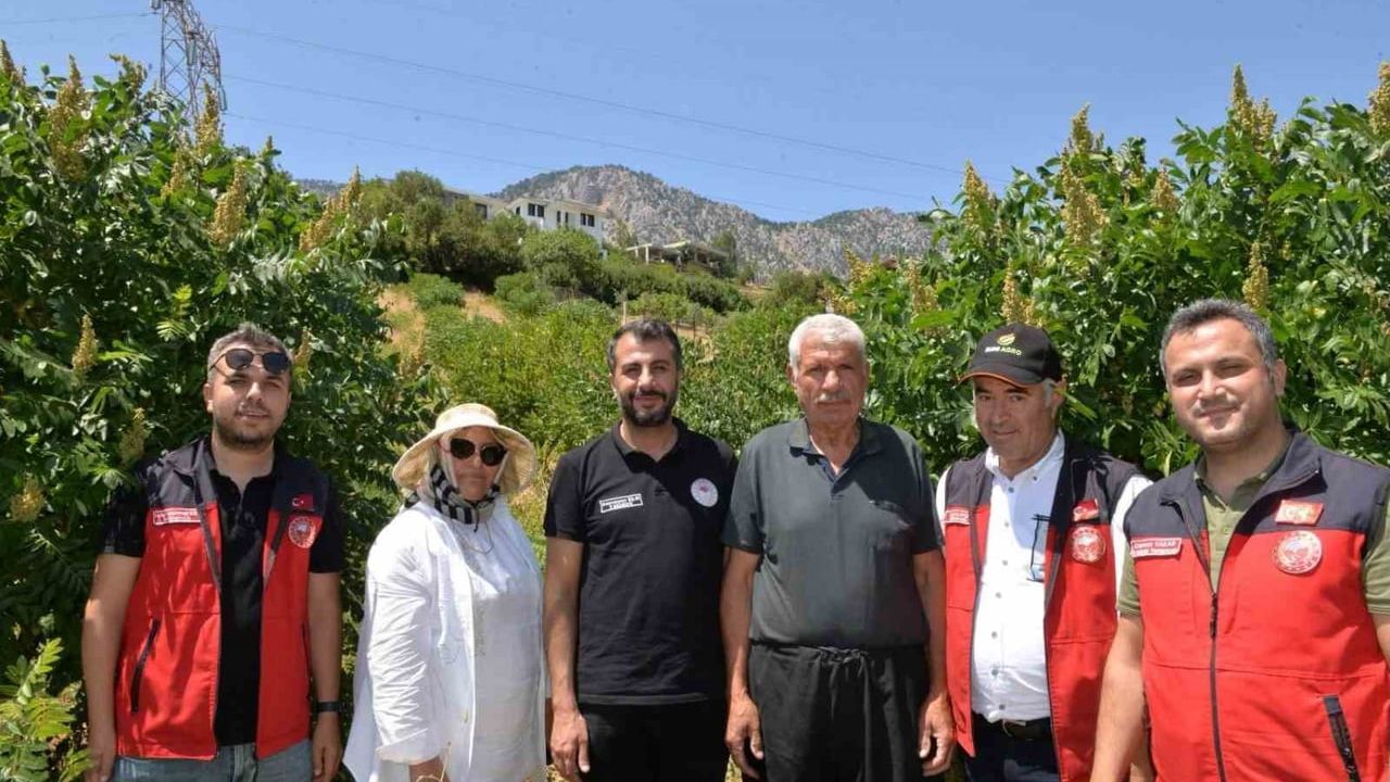 Kırsaldaki atıl arazilere sumakla yeni gelir yolu açıldı