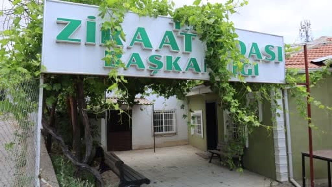 Kırşehir'de hasat yüzde 65'e ulaştı, yangınlar yaklaşık 1.500 dönüm ekili alanı etkiledi