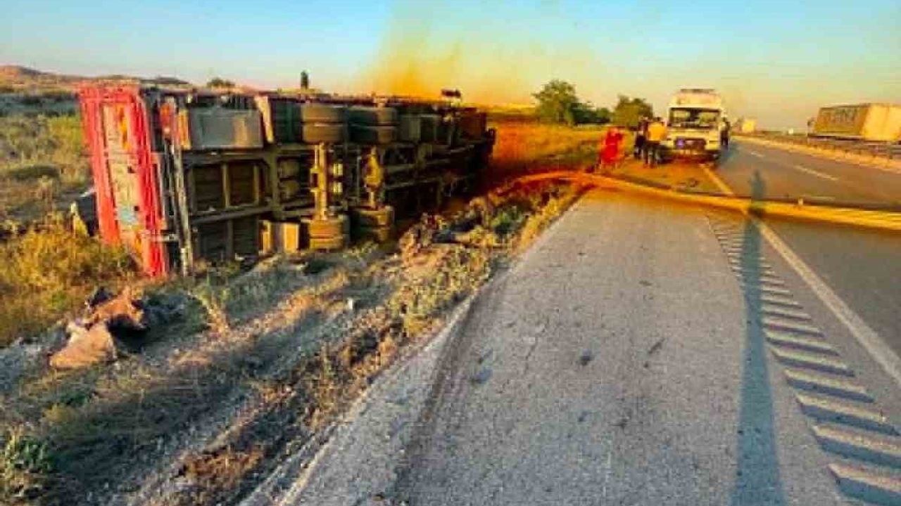 Kontrolden çıkan kamyon devrildi: 1 yaralı
