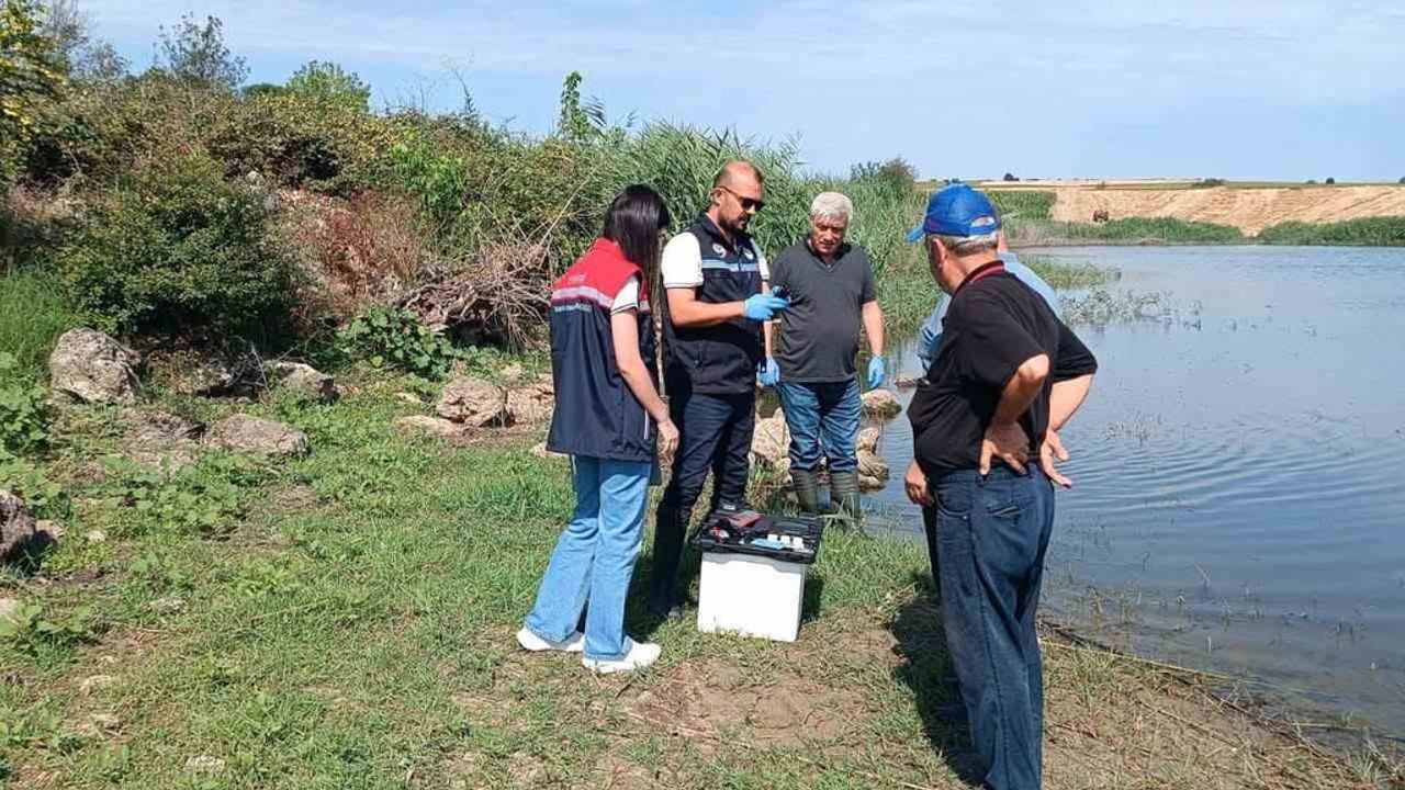 Korucu köyündeki gölette ölüm nedeni laboratuvarda belirlenecek