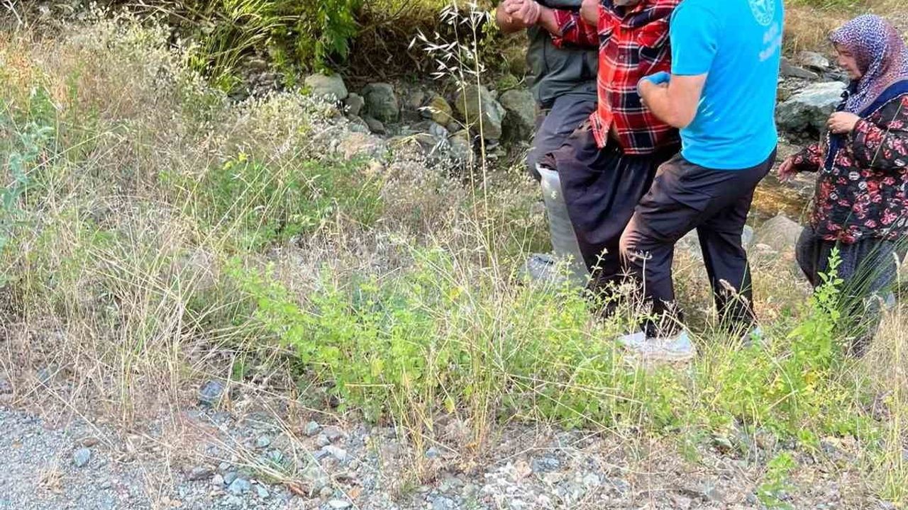 Kozan'da kayalıklardan düşen kişi orman ekiplerince kurtarıldı