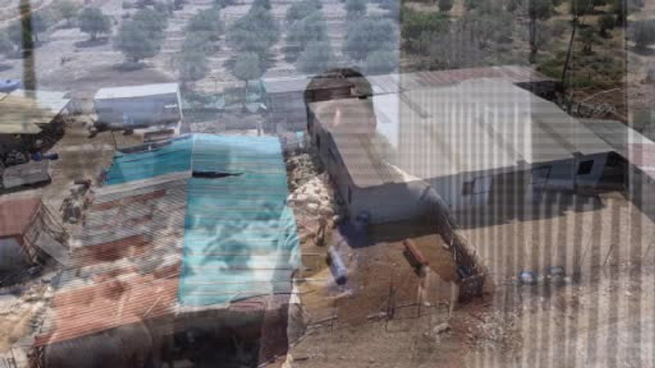 Küçükbaşın bakım çilesi ekipmanla kısaldı: yıkama ve ilaçlama artık ayağa geliyor