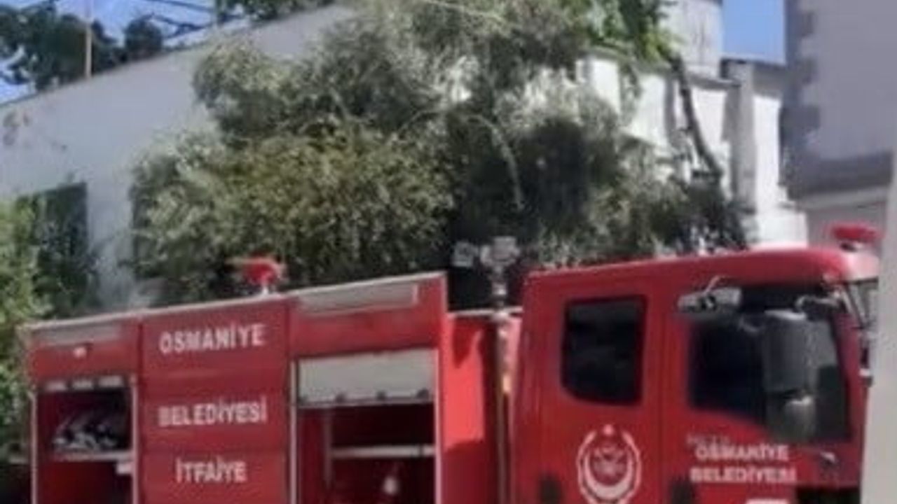 Kümeste çıkan yangında güvercinlerini kurtarmaya çalışırken yaralanan kişi, 7 kuş telef oldu