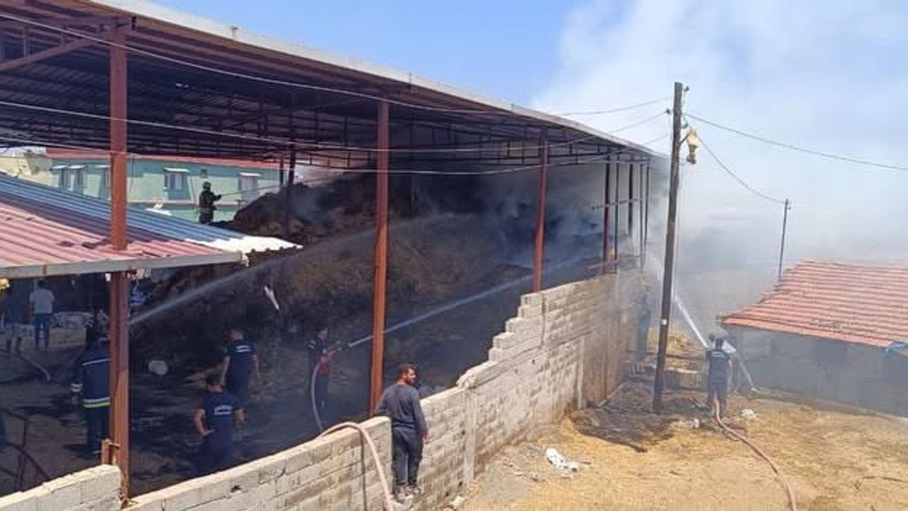 Kumlu'da samanlık yangınında 3 buzağı telef oldu, 3 yaralandı