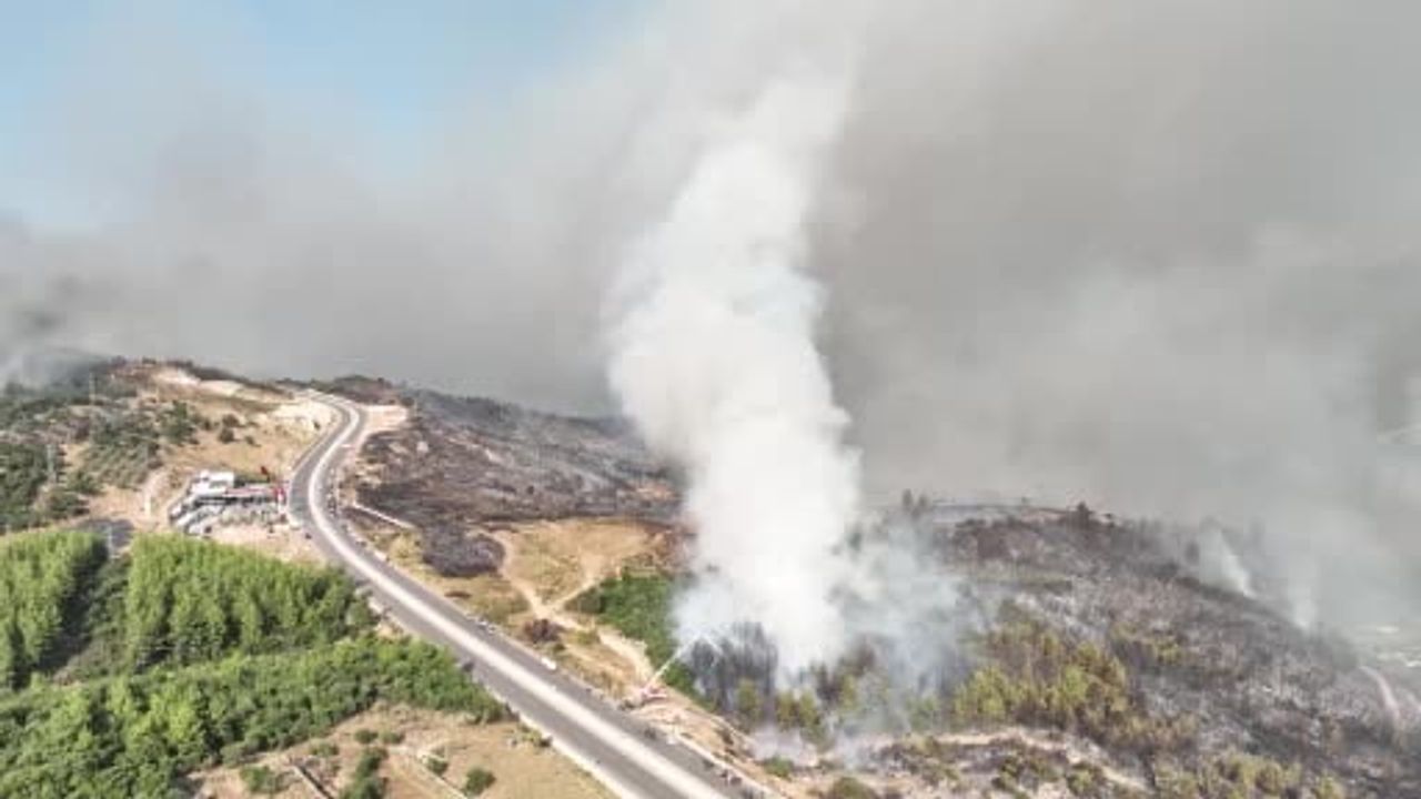 Kumluca Yazır'da yangın sonrası hayvanlara yerinde ve hızlı müdahale