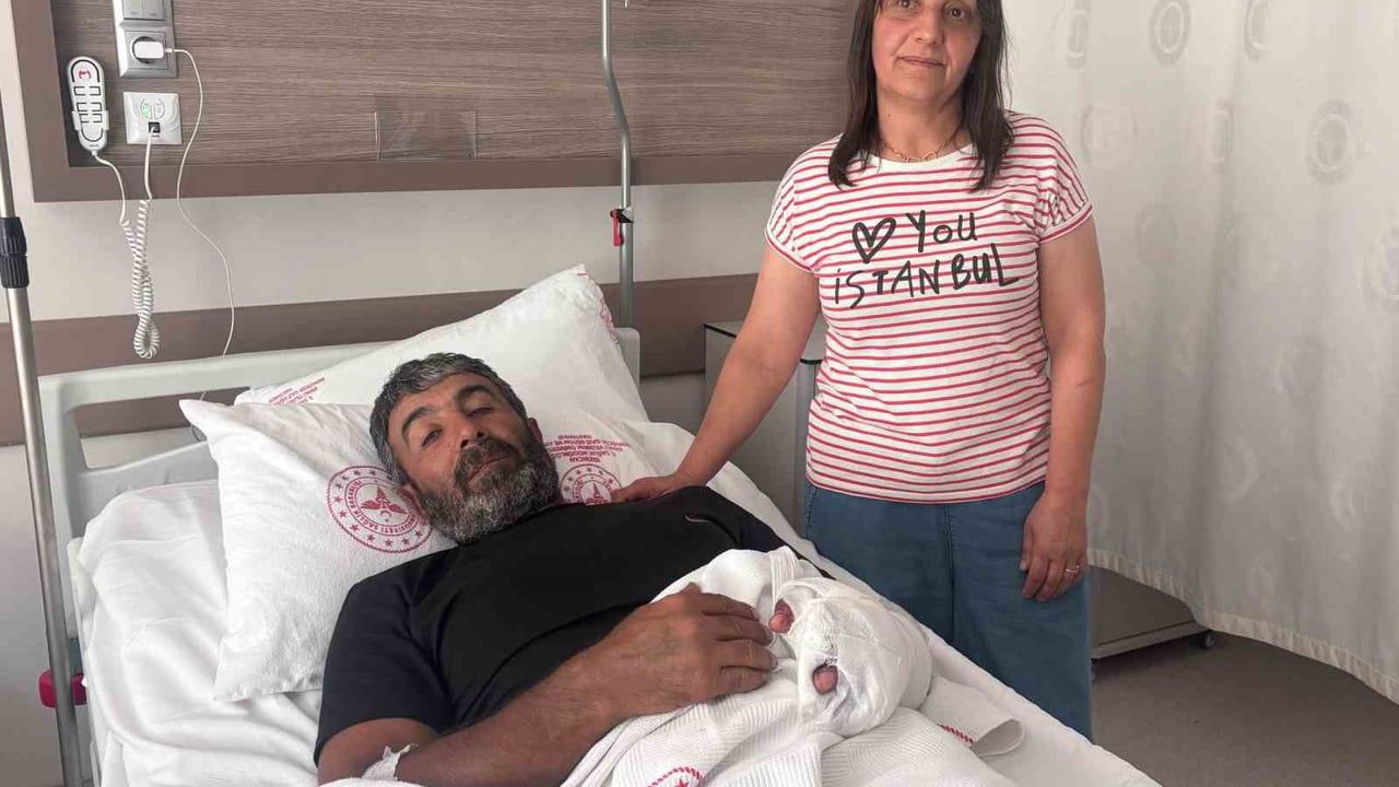 Kürek sayesinde hayata tutundu: ayı saldırısından ağır yaralı kurtulan çiftçi