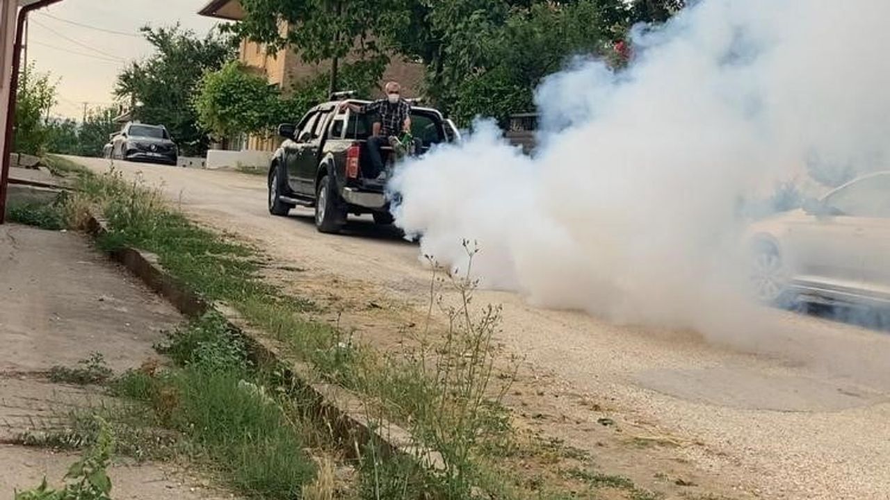 Kurşunlu köyünde artan sinek sorununa muhtar el attı