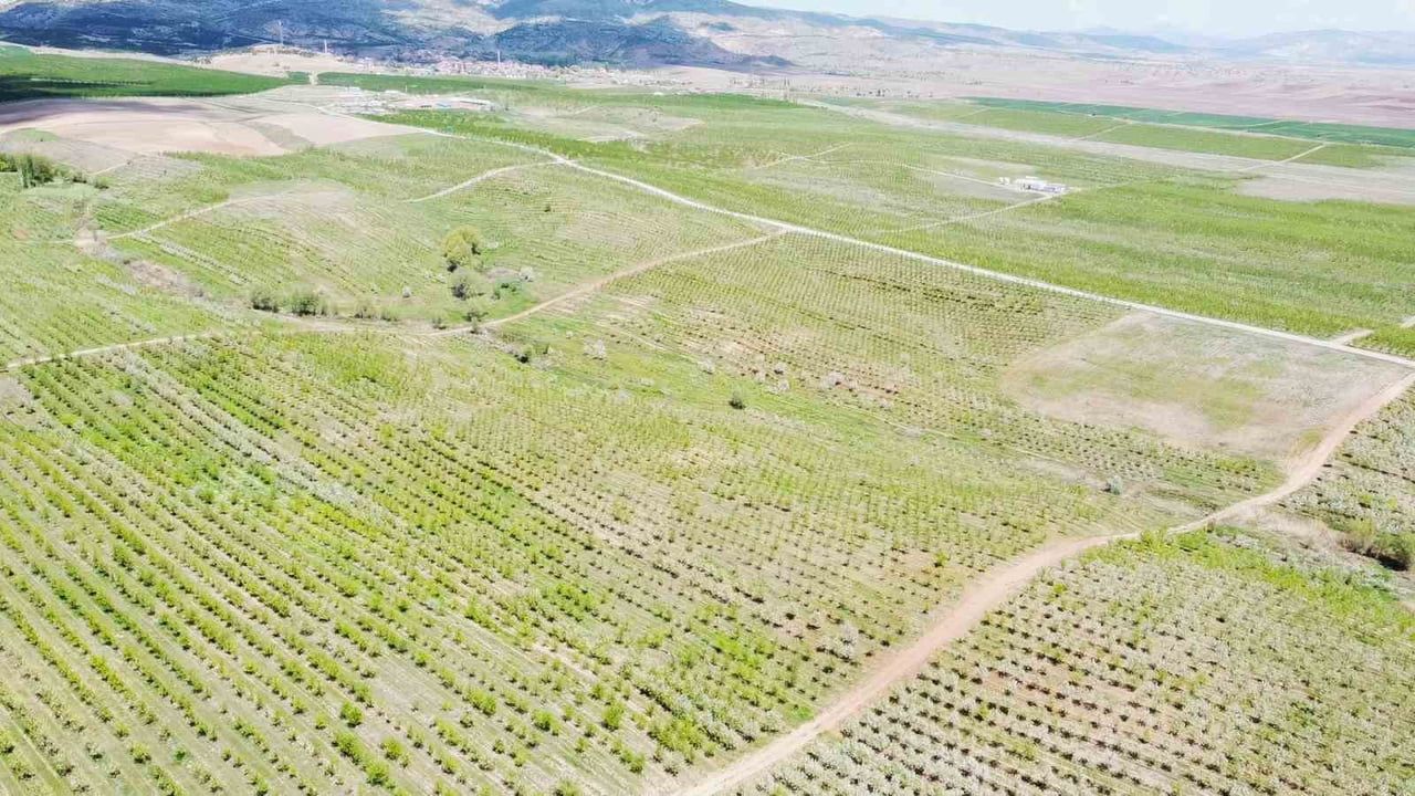 Kuru tarımdan meyveciliğe: Kabalı köyünde refah ve istihdam değişimi
