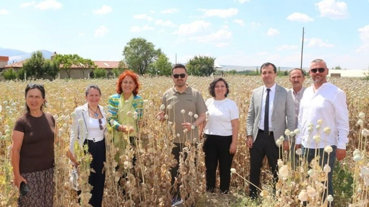 Kuşadası merkezli kadın kooperatifi Isparta'da haşhaş hasadına katıldı
