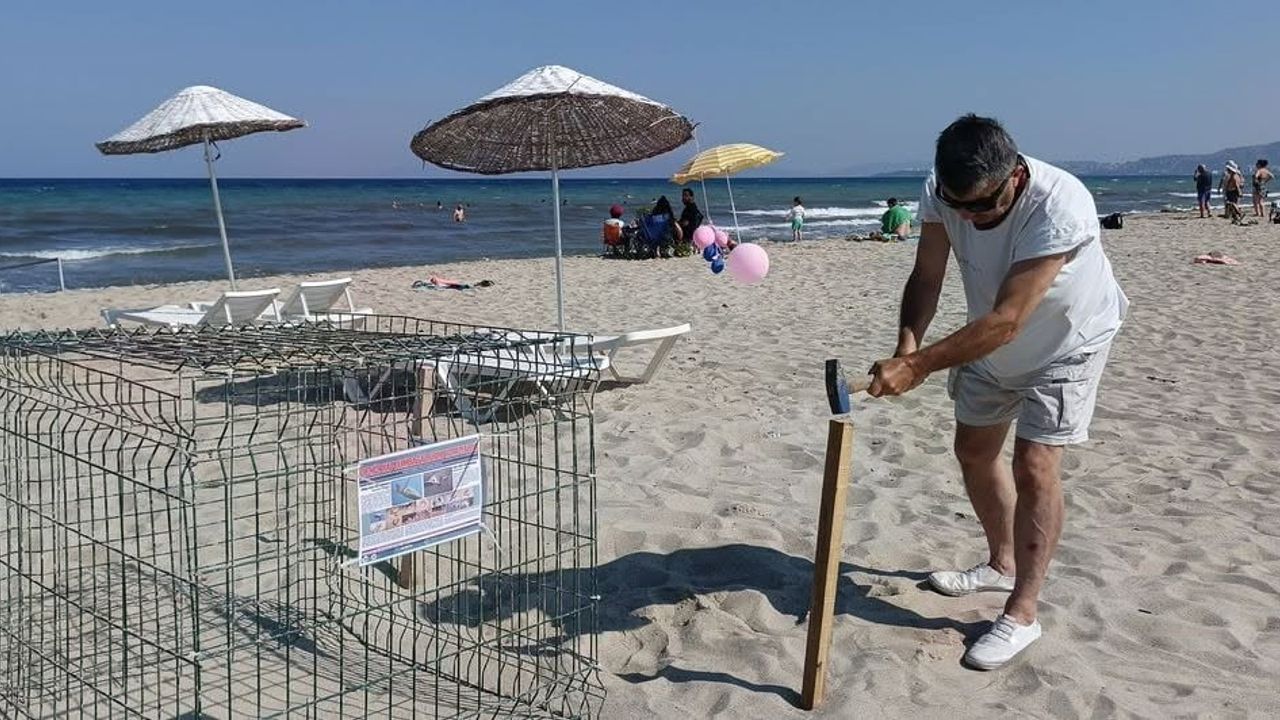 Kuşadası’nda yeni caretta caretta yuvası umut verdi