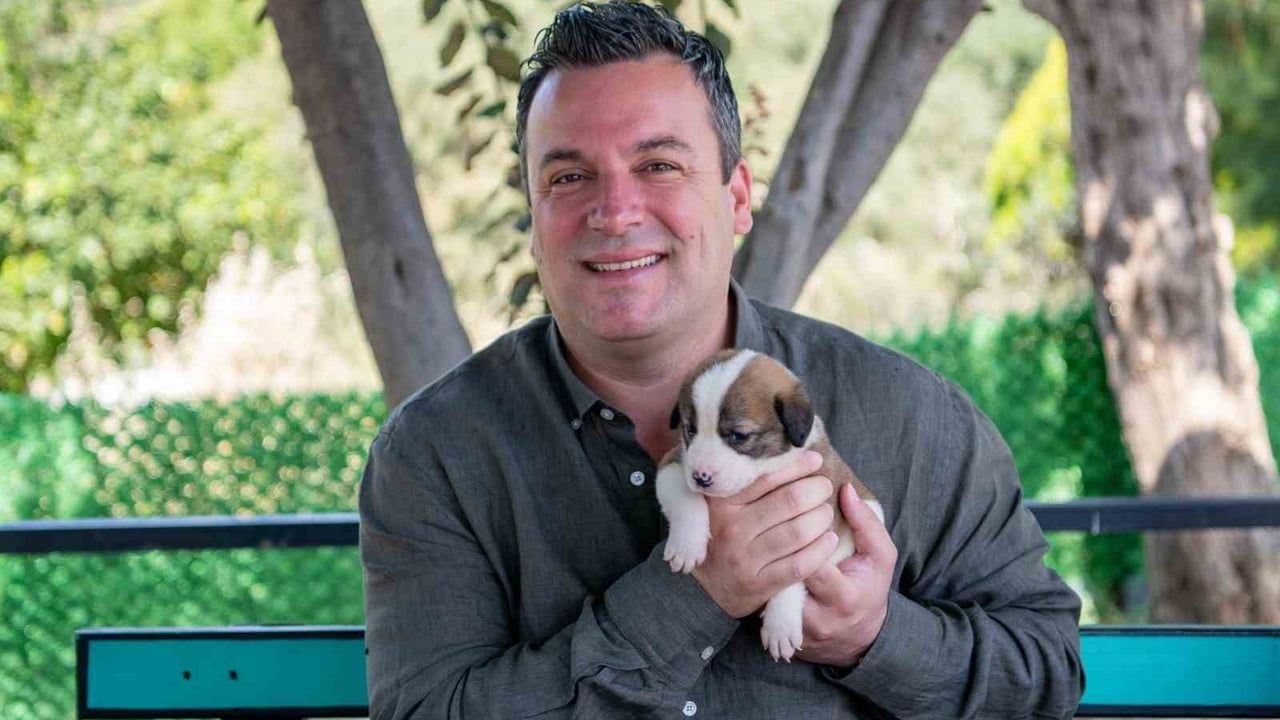 Kuşadası'ndan örnek uygulama: satın alma sahiplen ile 3 bin 518 cana yuva