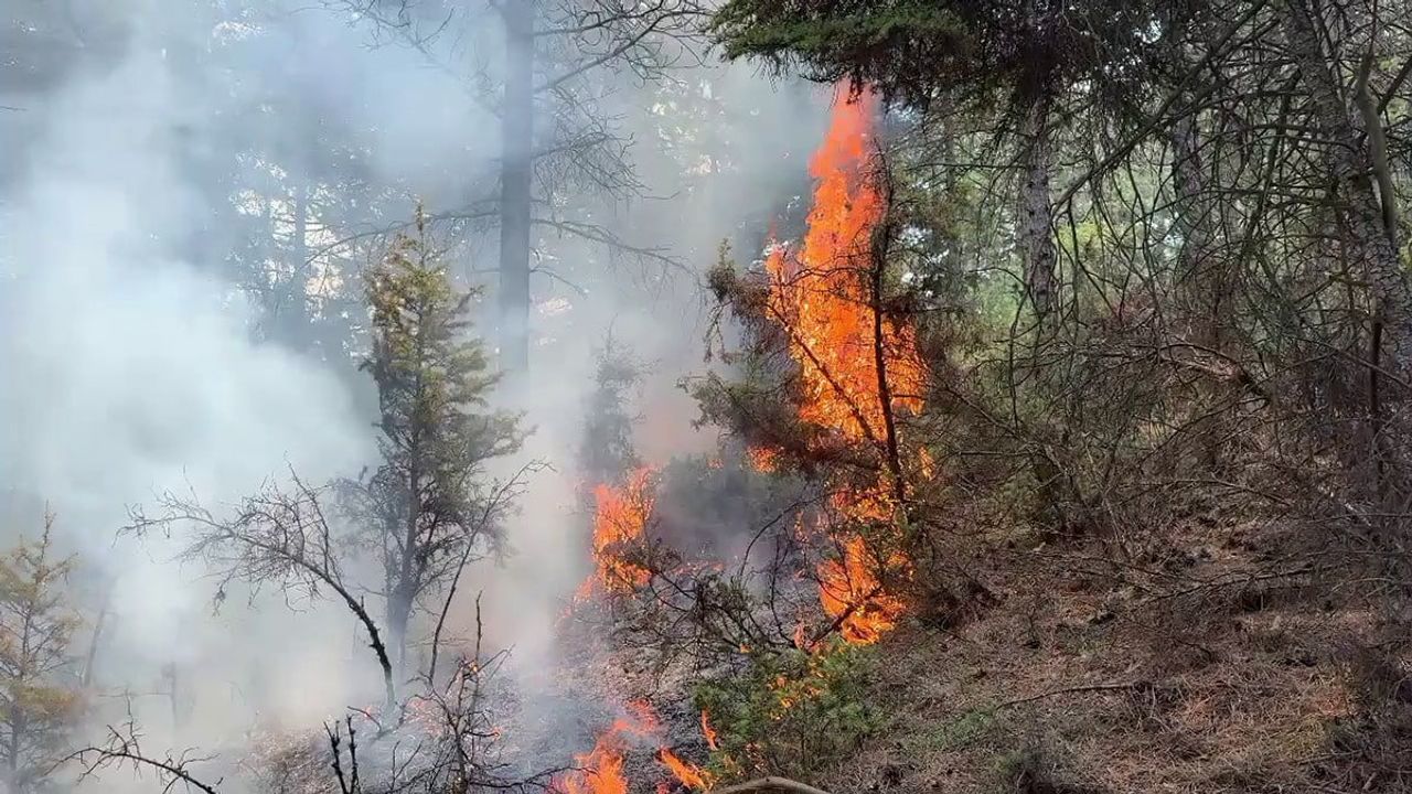 Kütahya'da 30 Ağustos Mahallesi'nde orman yangını ekipler müdahale ediyor