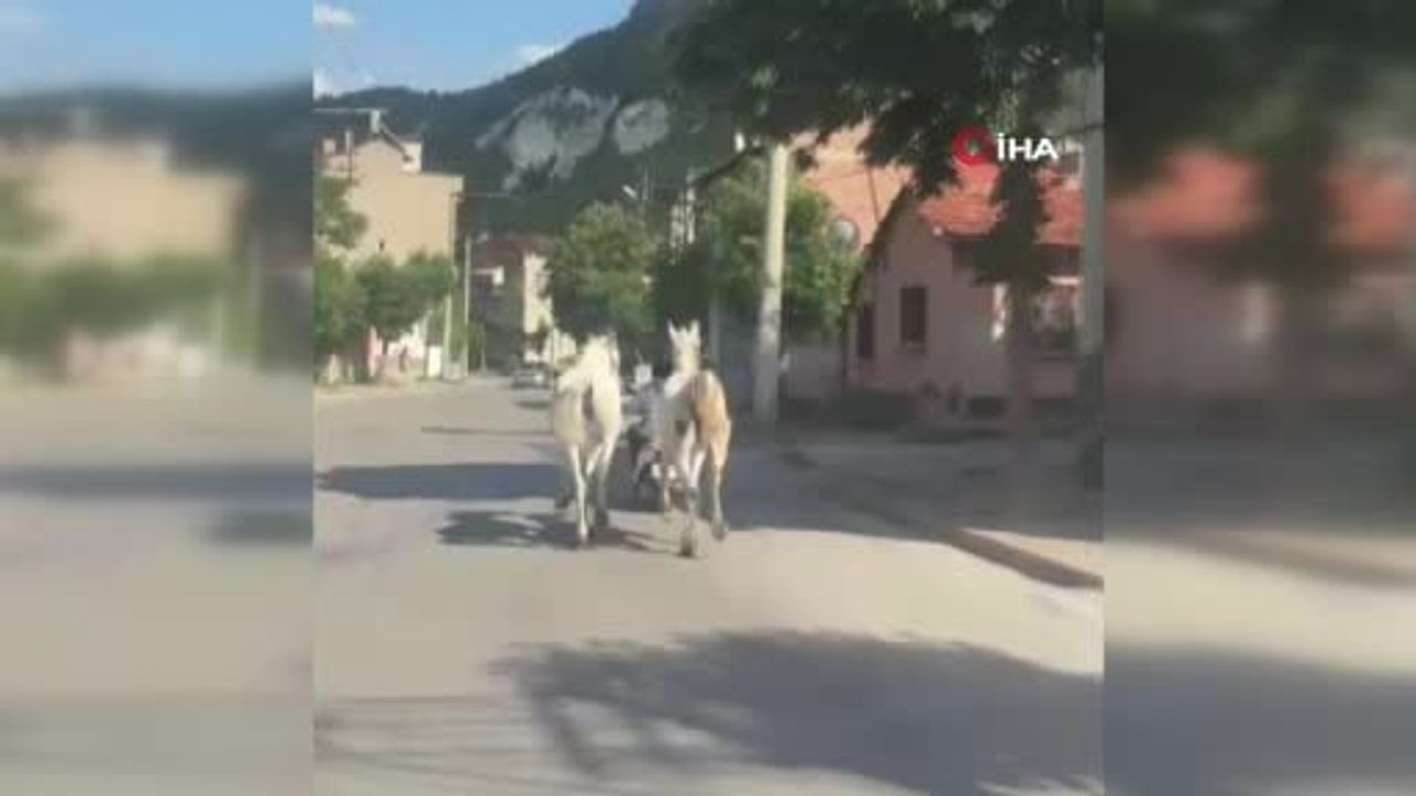 Kütahya’da atları motosiklete bağlayarak şehir içi trafikte götürdü