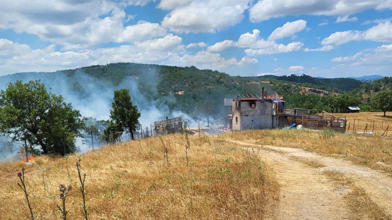Kütahya'da ev yangını ormana sıçradı, 3 hektarlık karaçam zarar gördü