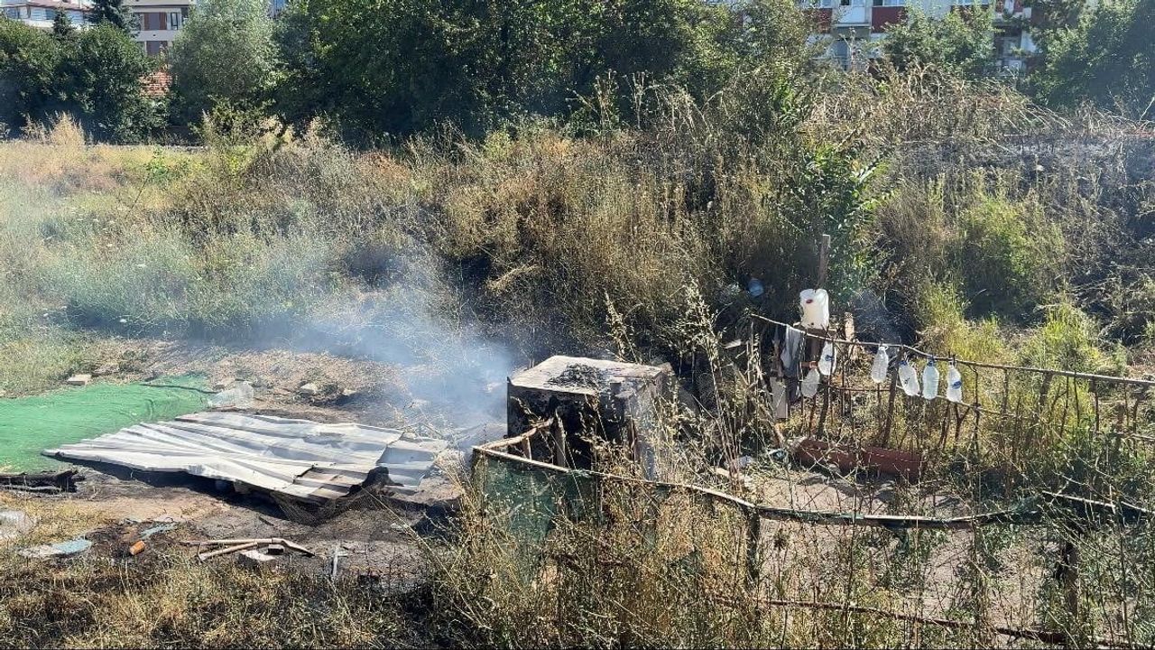 Kütahya'da ot yangını güvercinleri telef etti