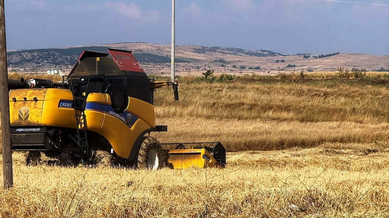 Kütahya'da yerli arpa çeşitleri yüksek verimle sahada doğrulandı