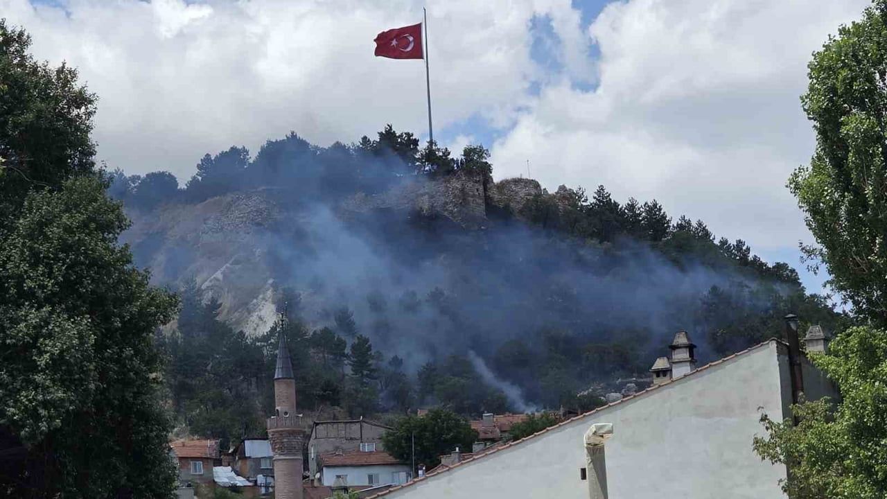 Kütahya Hisar Kalesi çevresinde otluk yangını