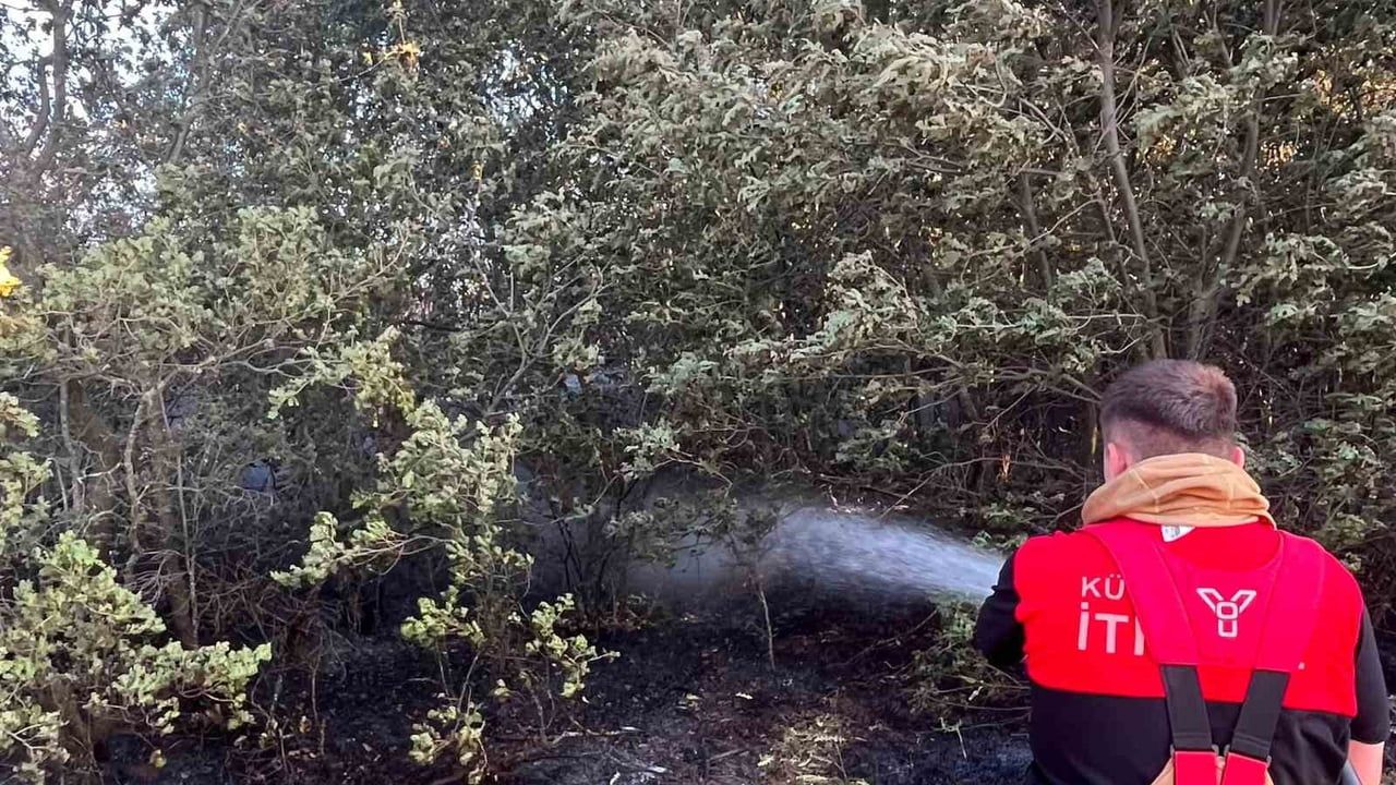 Kütahya OSB itfaiyesiyle orman ve örtü yangınları kontrol altına alındı