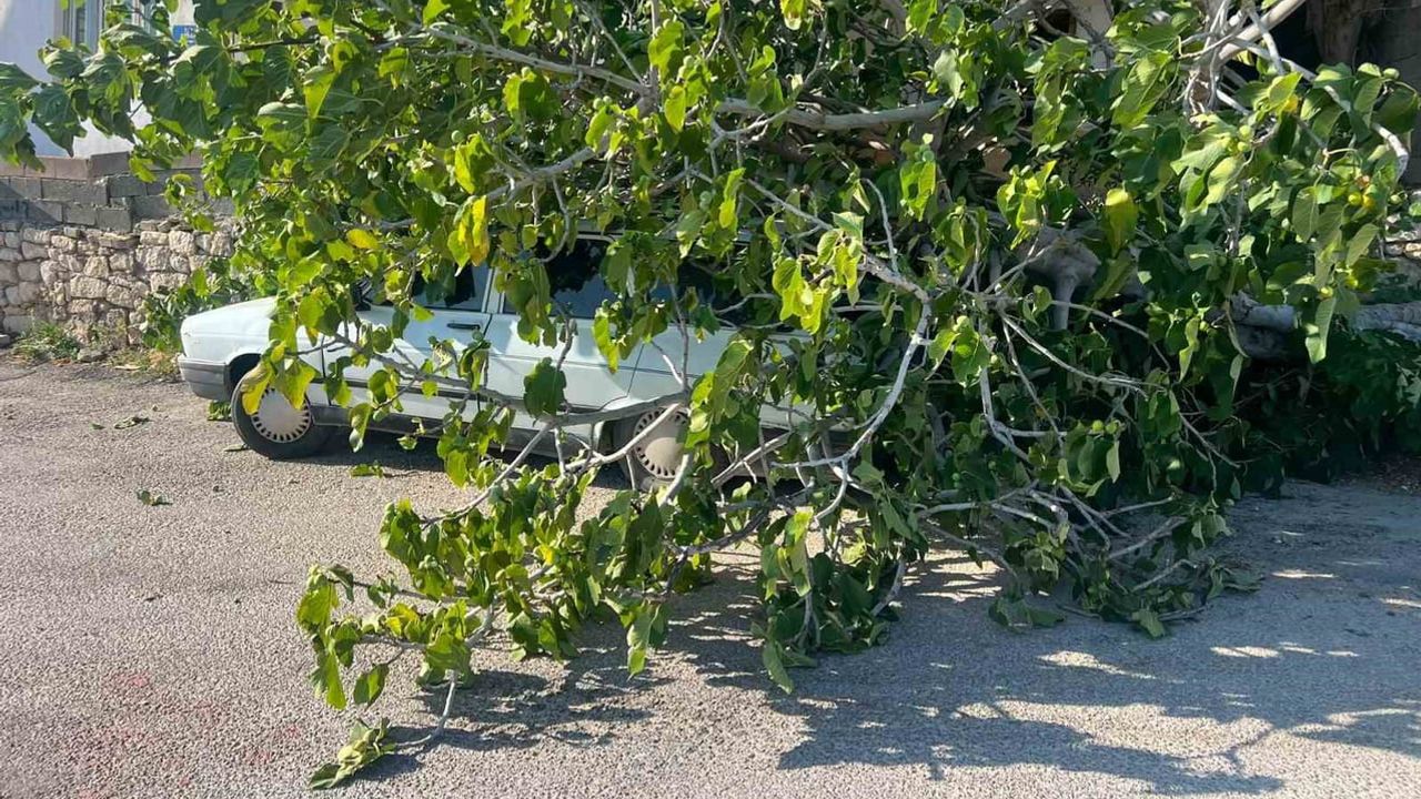Kuvvetli rüzgâr Silifke’de araç ve tekneye zarar verdi