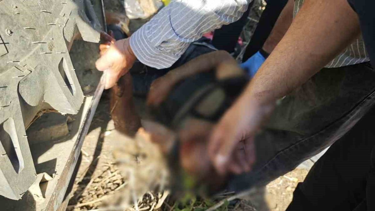 Kuyucak'ta devrilen traktörün altında kalan sürücü itfaiye tarafından kurtarıldı